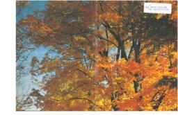 1969-1970 Legacy: Red Deer College Yearbook