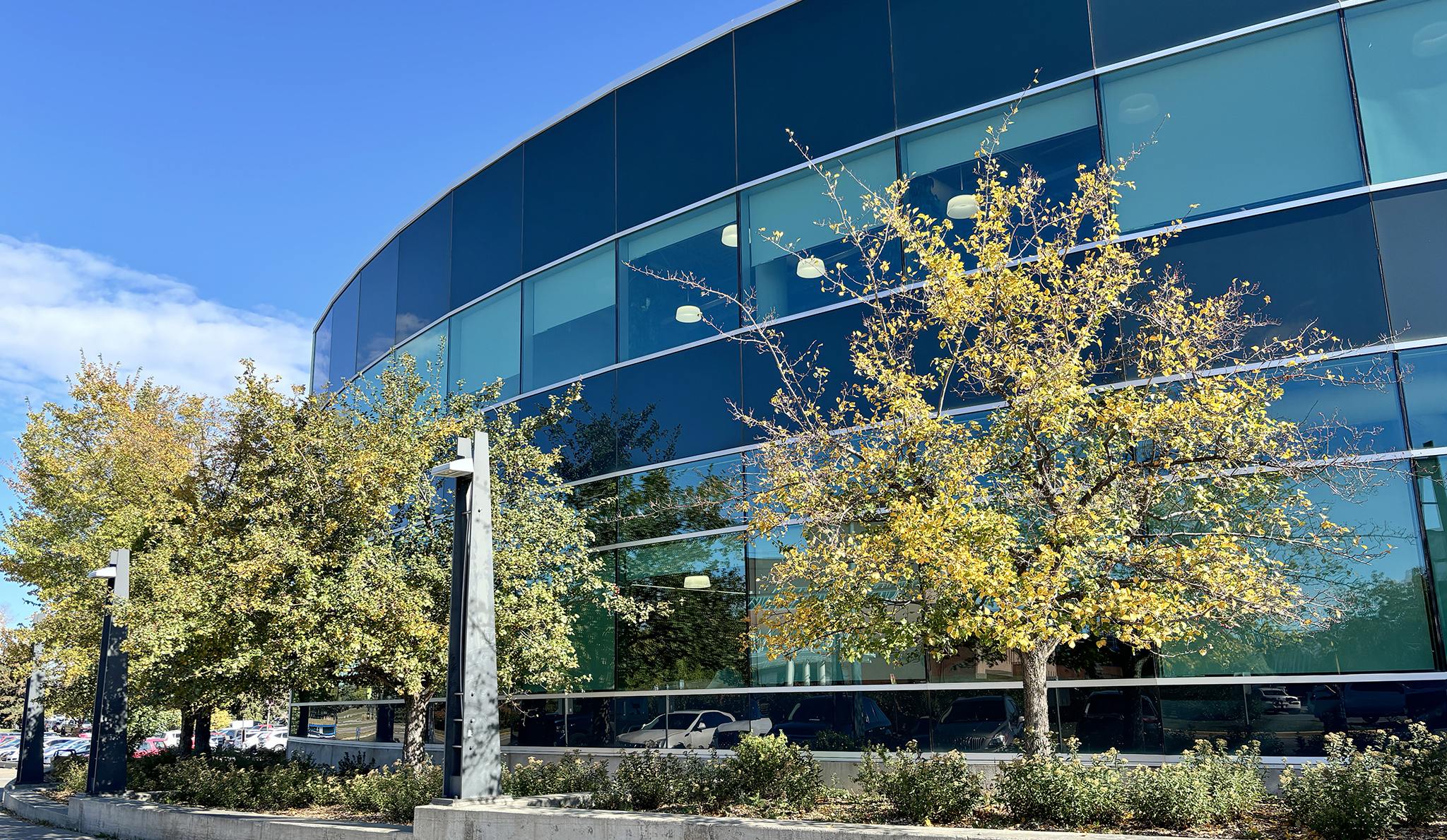 Front view of RDP Library in summer